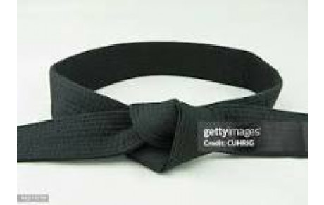 DEUX NOUVELLES CEINTURES NOIRE AU CLUB MAXENCE DA MOTA ET MAXIME VINCENT-DUSSAUT.  FELICITATIONS !!!